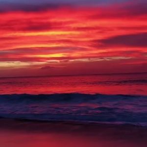 Meet your Posher, Marisol